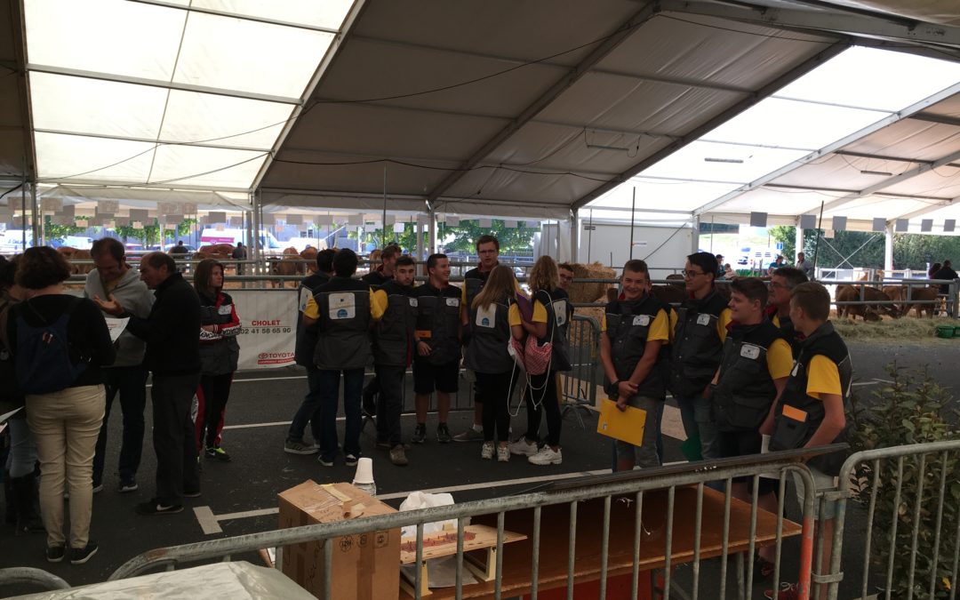 MFR-CFA Chemillé : Les élèves de CAPa 2 au Festi&rsquo;élevage !
