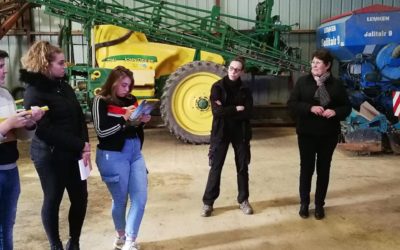 MFR-CFA Chemillé : Visite d’une exploitation porcine