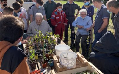 MFR-CFA Chemillé : Journée intergénérationnelle avec l’EHPAD de Chemillé et les 3ème !