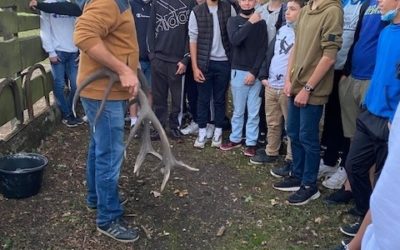 MFR-CFA Chemillé : Soirée « Brame du Cerf » pour les 3ème